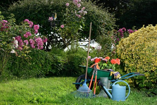 Illustration of hedge trimming tools near a poplar hedge